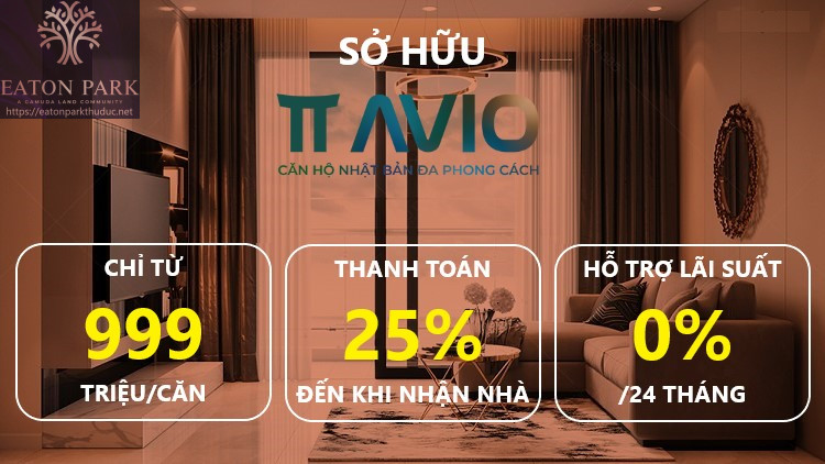 Phương Thức Thanh Toán Linh Hoạt Tại Dự án Tt Avio